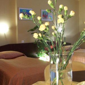 Arena Hotel Kalisz  Room photo